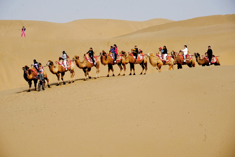  ◆遊客在新疆體驗沙漠騎駱駝。