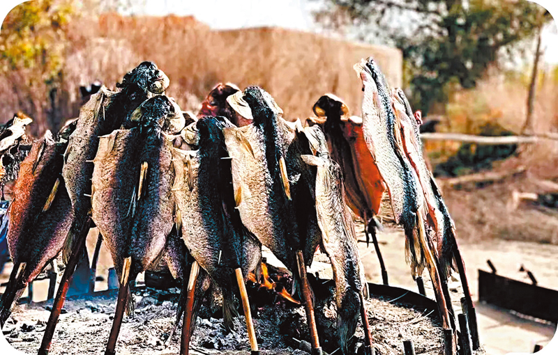 ◆新疆尉犁縣羅布人村寨獨具特色的羅布人烤魚