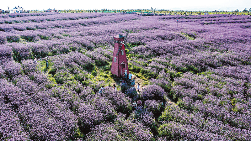 ◆遊客在貴陽市花溪區石門村觀賞遊玩。
