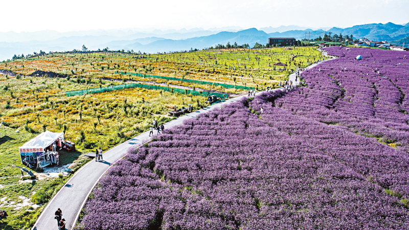 ◆貴陽市花溪區石門村