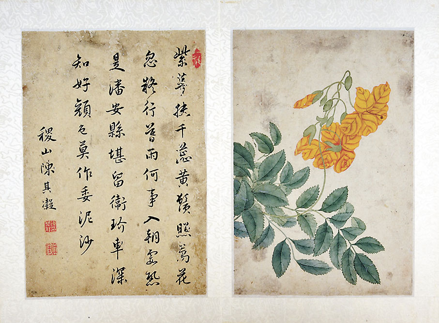 ◆明 葉小鸞款花卉圖冊（其一）