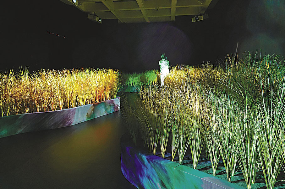 ◆Dimension Plus《稻浪四時》