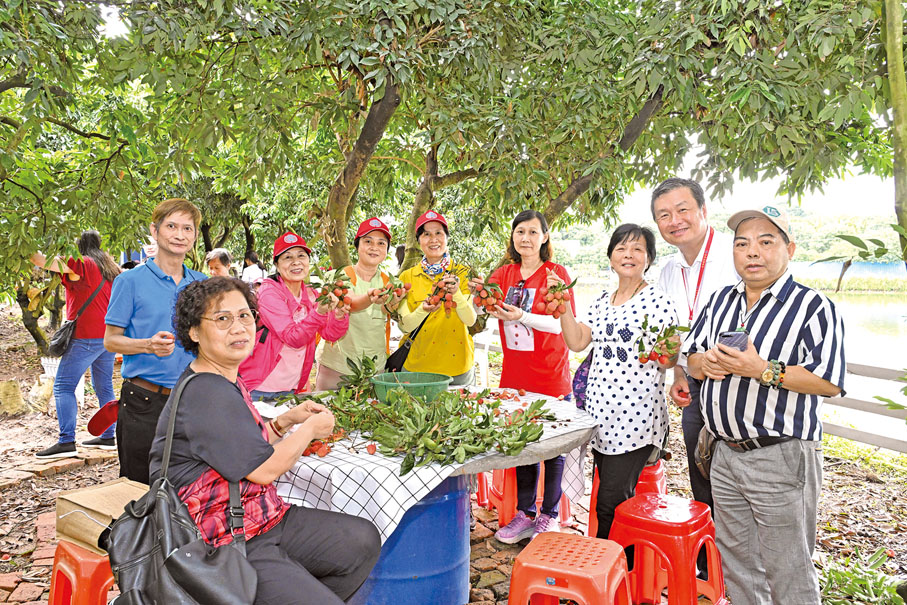 ◆ 鄉親現場即時品嘗採摘成果。