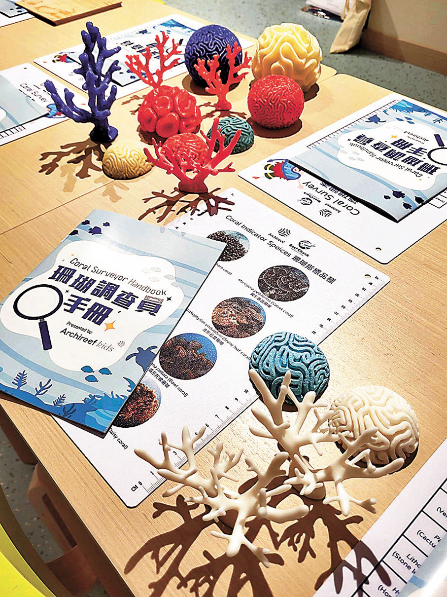 ◆小小珊瑚調查員