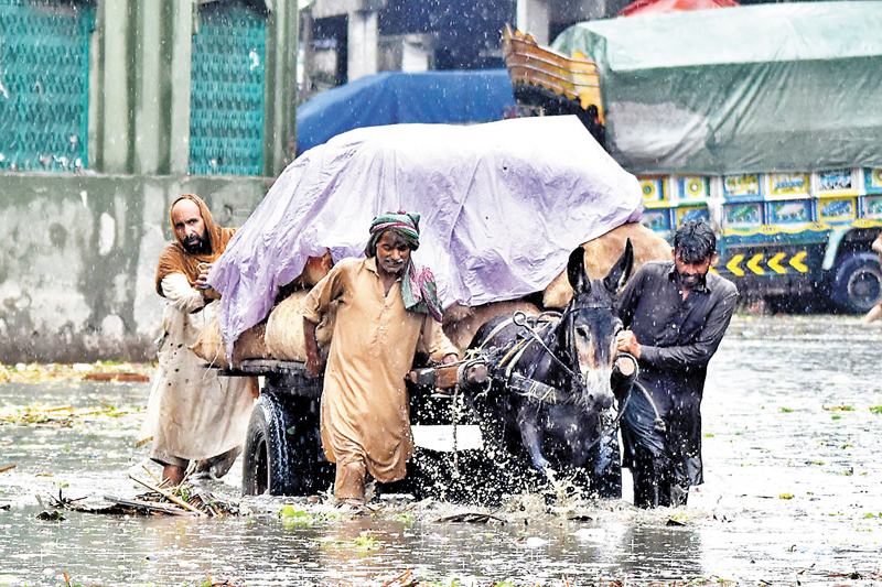 ◆巴基斯坦暴雨成災，人們推着驢車穿過洪水。 新華社