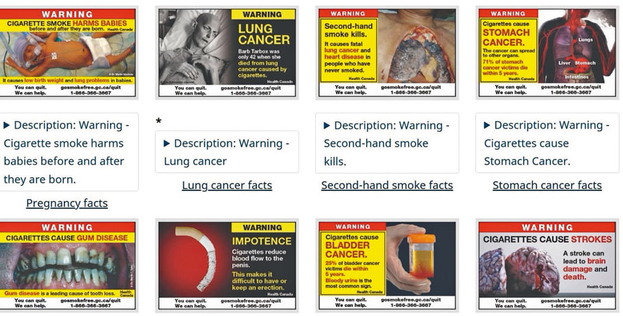 ◆政府指定的香煙包裝警示圖，說明香煙各種禍害。 成小智  攝