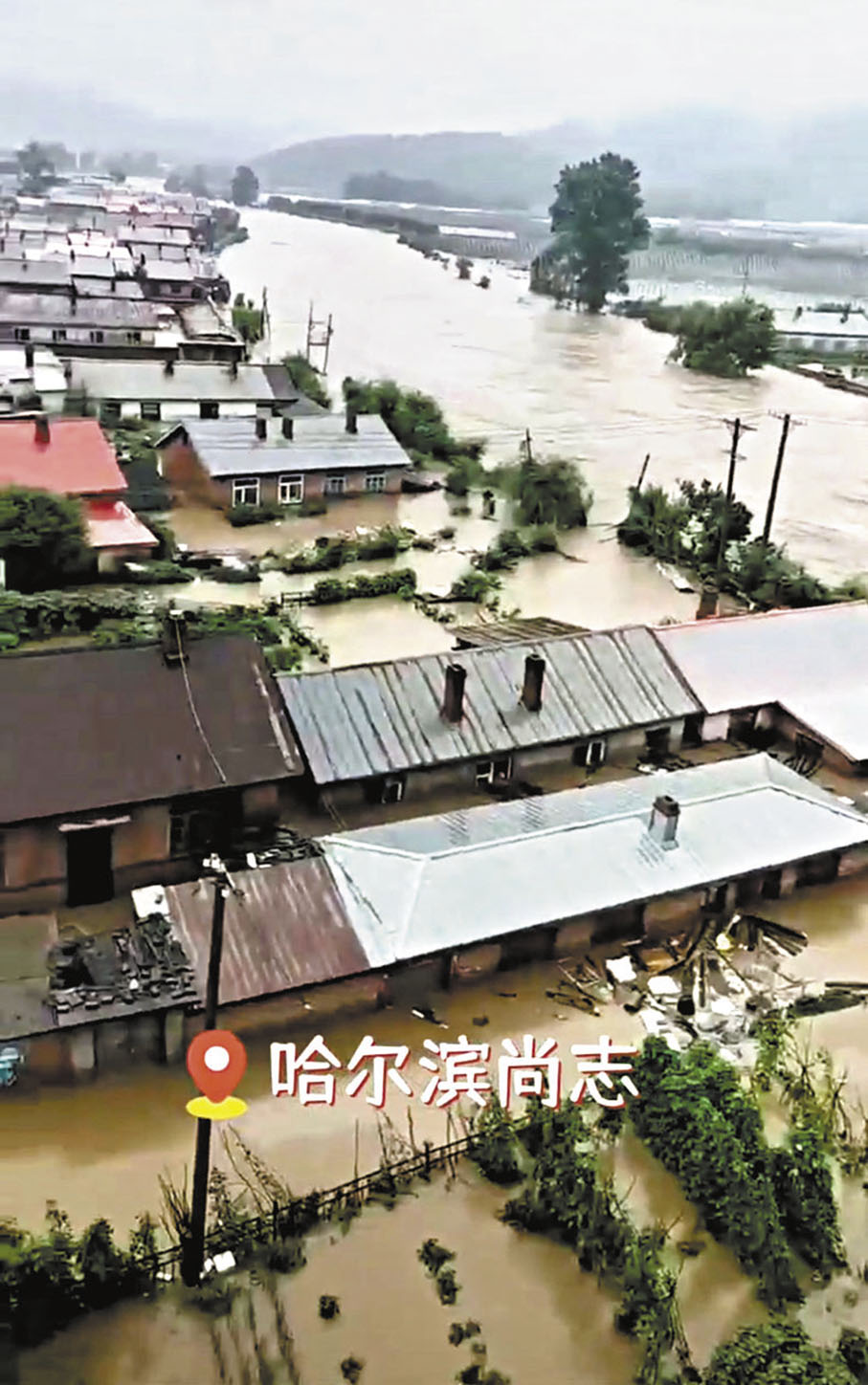 ◆黑龍江尚志市房屋被淹。 視頻截圖