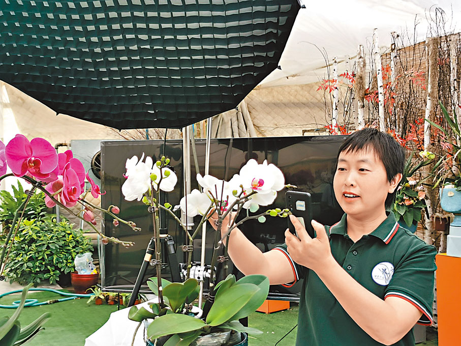 ◆綠聖蘭業賈美榮。