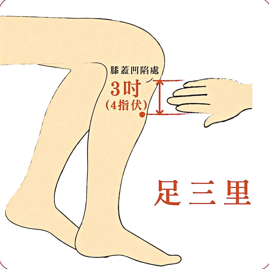 ◆足三里穴