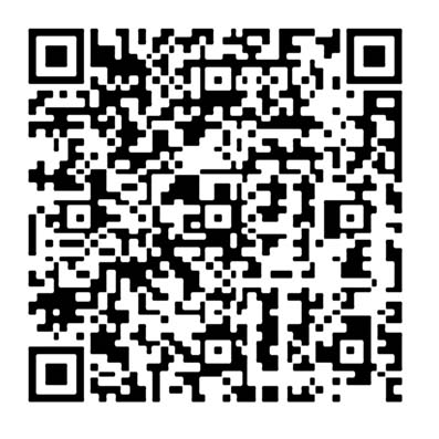 地區服務及關愛隊伍 (關愛隊)