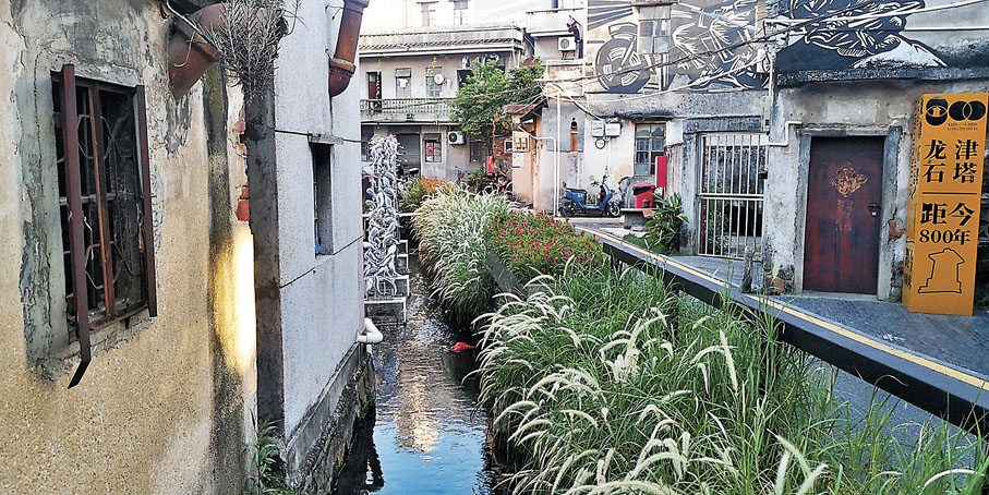 ◆沙井古墟龍津河兩側製造了新的「河岸」。