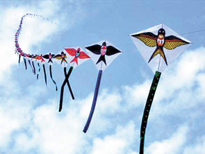 ◆紙鷂，又稱鷂子、紙鳶、風箏等。 網上圖片