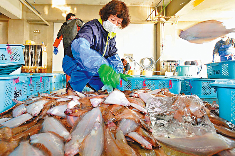 ◆福島等地的漁獲沒安全保障，漁業只會持續衰退，打擊從業者生計。 網上圖片