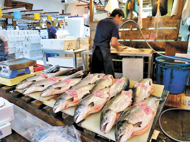 ◆知名的東京豐洲市場魚價暴跌。資料圖片