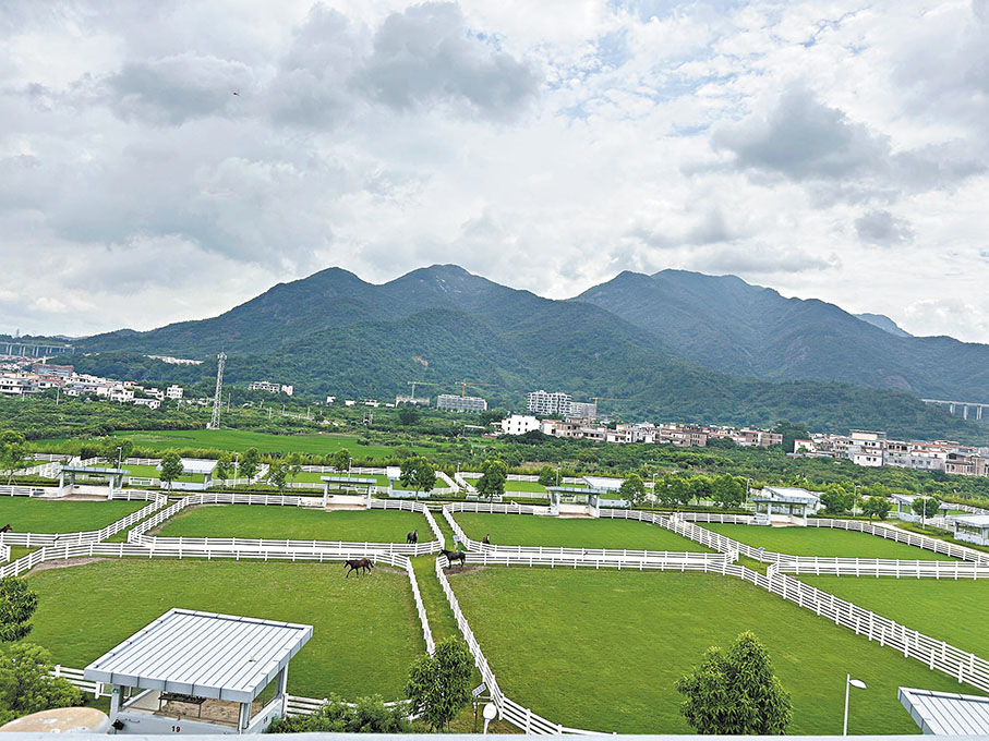 ◆ 從化馬場的馬匹散養區，賽馬可以在這裏奔跑。 香港文匯報記者敖敏輝  攝