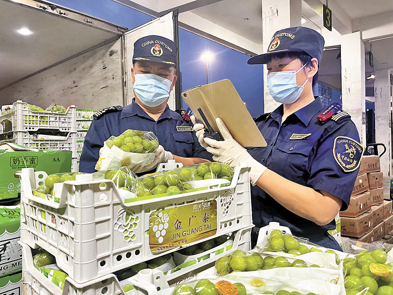 ◆8月31日以來，文錦渡海關已監管5,000餘噸蔬菜、活畜禽等供港鮮活產品順利通關。圖為文錦渡海關對供港鮮活產品優先查驗。香港文匯報深圳傳真