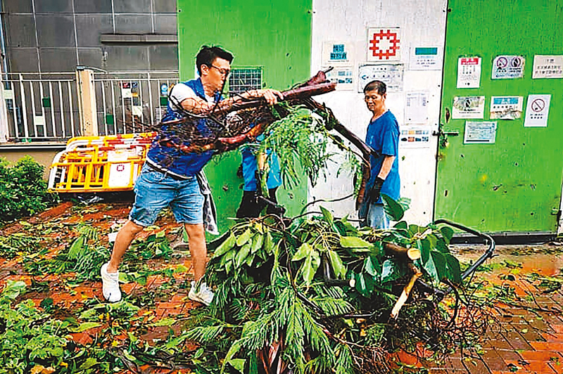 ◆ 工聯會荃灣區議員葛兆源（左一）在荃灣協助清潔工清理樹木殘枝。