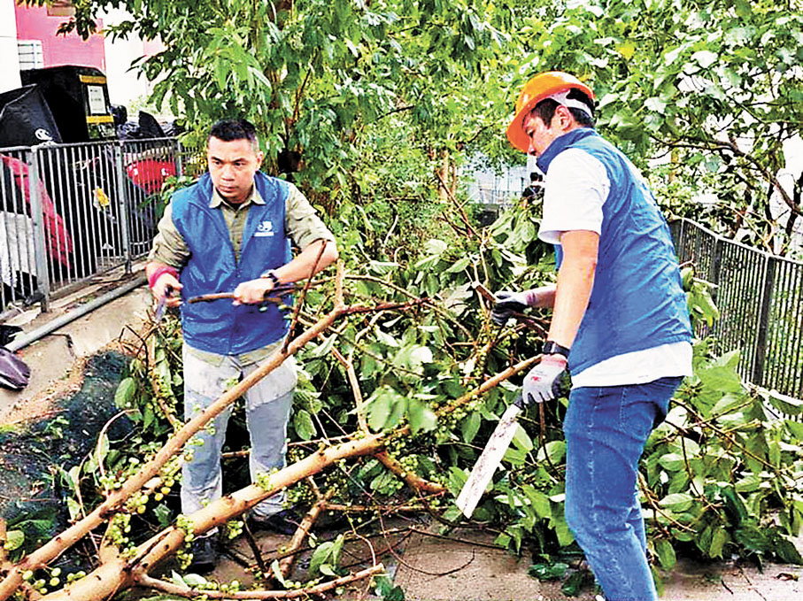 ◆ 荃灣區關愛隊將被颱風吹倒的樹木殘枝收拾好。