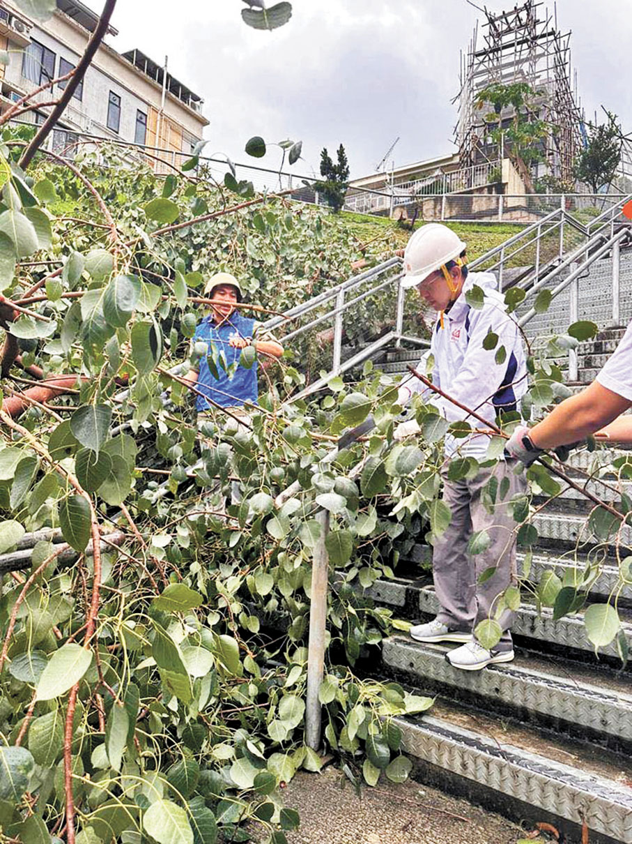 ◆ 荃灣區關愛隊清理塌樹。