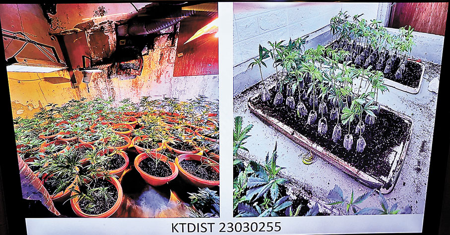 ◆大麻種植場內部有大量太陽燈、溫度計、計時器、冷氣機、花盆、植物營養液等裝備作種植用途。香港文匯報記者劉友光  攝