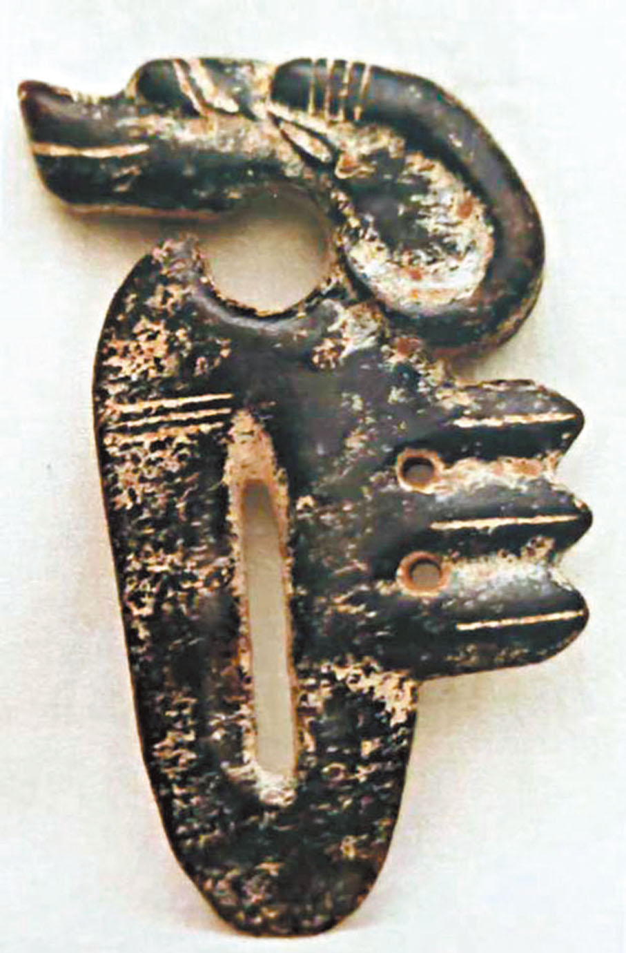 ◆圖三：作者命名為「蜀龍」的古蜀玉器。