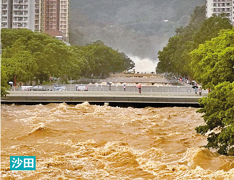 ◆城門河洶湧澎湃，奔騰而下，水面逼近橋底。 網片截圖