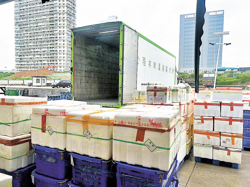 ◆有供港菜運輸司機擔心皇崗口岸貨車擁堵，8日上午較平時提前三個小時入境深圳拉菜，以保障香港蔬菜供應。 香港文匯報記者李昌鴻  攝