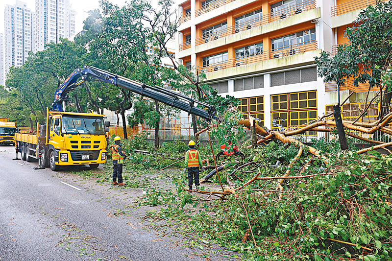 ◆「蘇拉」過後，劉友光拍攝下工作人員清理塌樹。 資料圖片