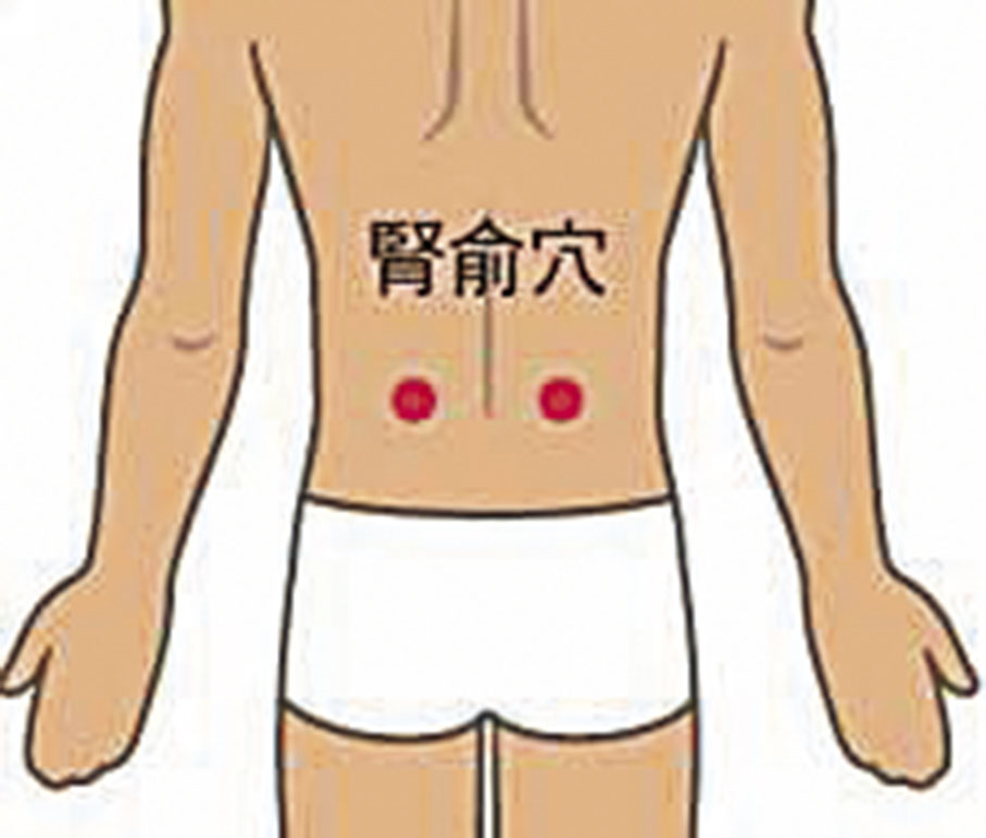◆腎俞穴