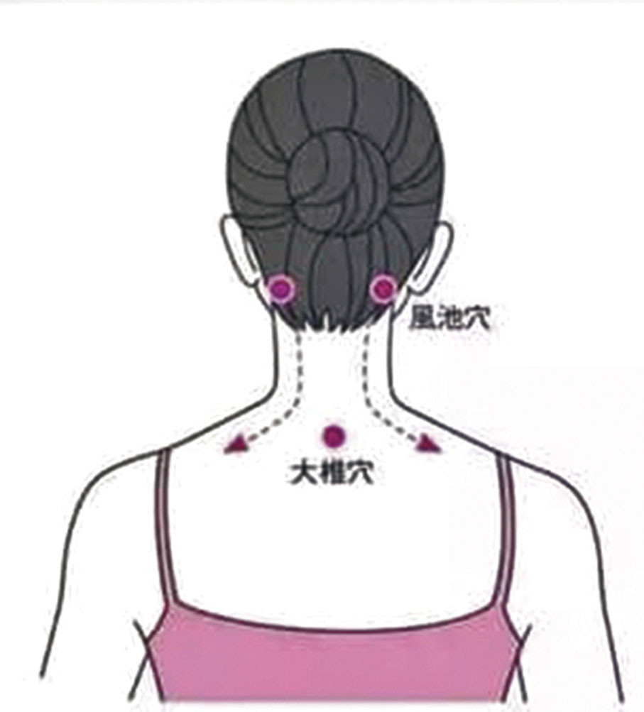 ◆風池穴及大椎穴