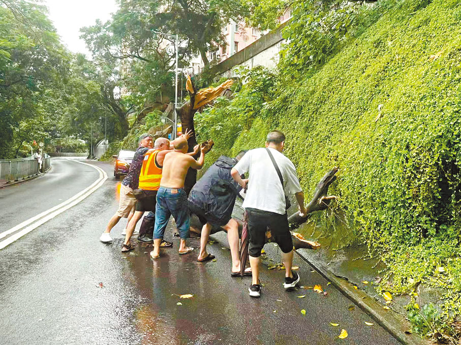 ◆ 灣仔區議會主席黃宏泰組織義工到司徒拔區內清理街道。
