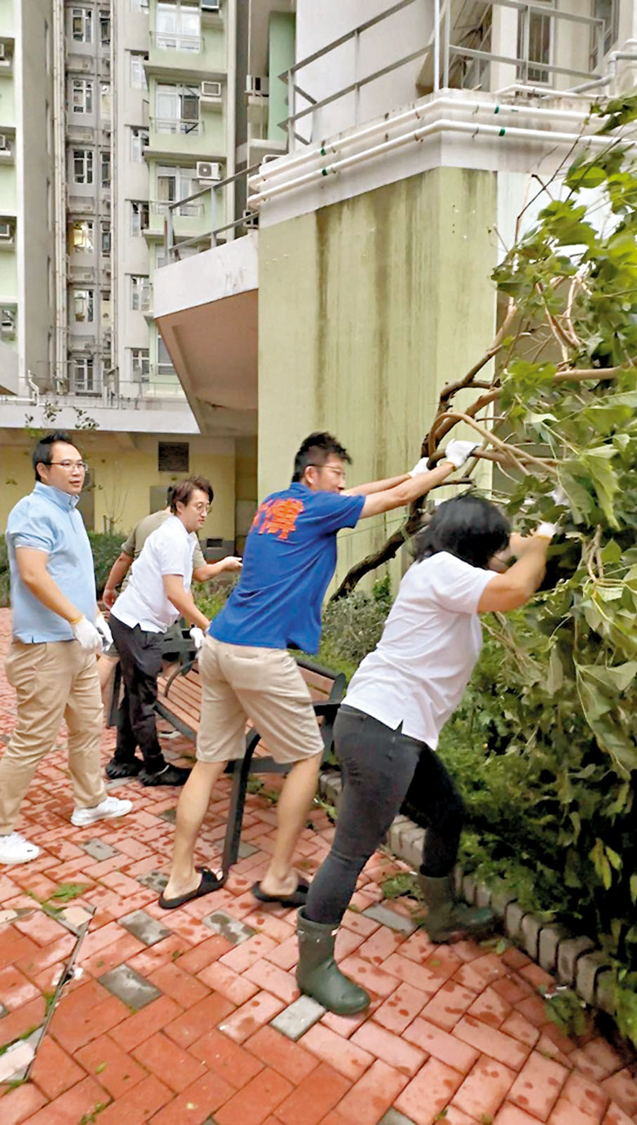 ◆社區幹事落區，清理落葉和雜物。
