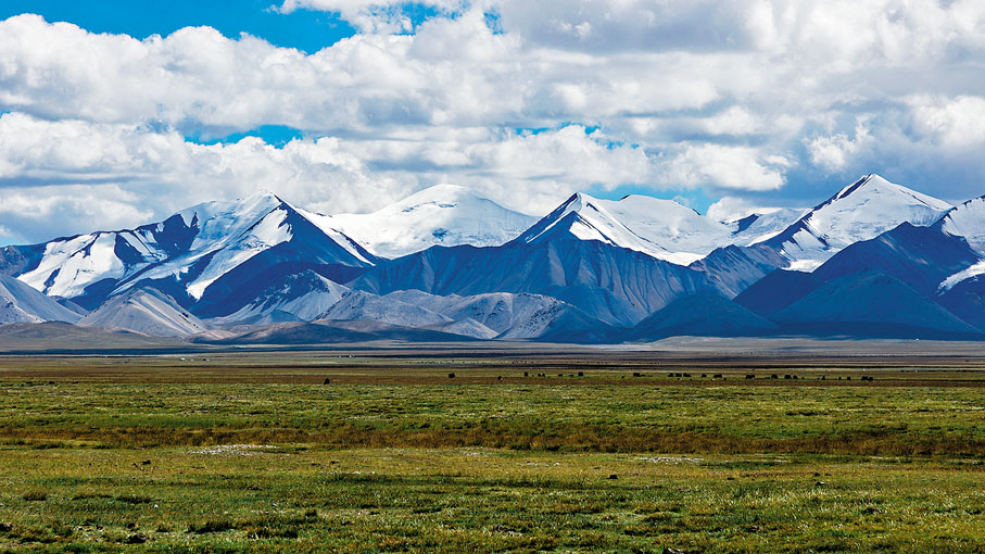 ◆祁連山草原牧場與雪山相映成趣。