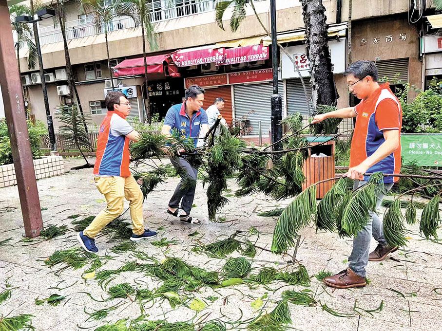 ◆社區幹事們一起清理塌樹。