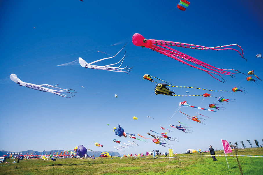 ◆「興仁放馬坪」露營風箏大賽。