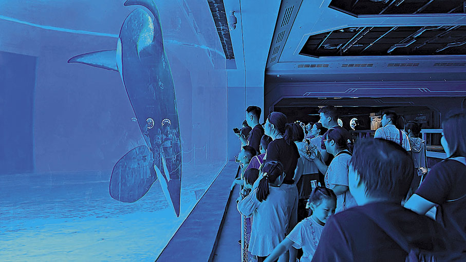 ◆整個樂園共展示超過400多種近15萬尾各類海洋珍稀動物。圖為遊客與海洋動物打招呼。 香港文匯報記者黃寶儀  攝