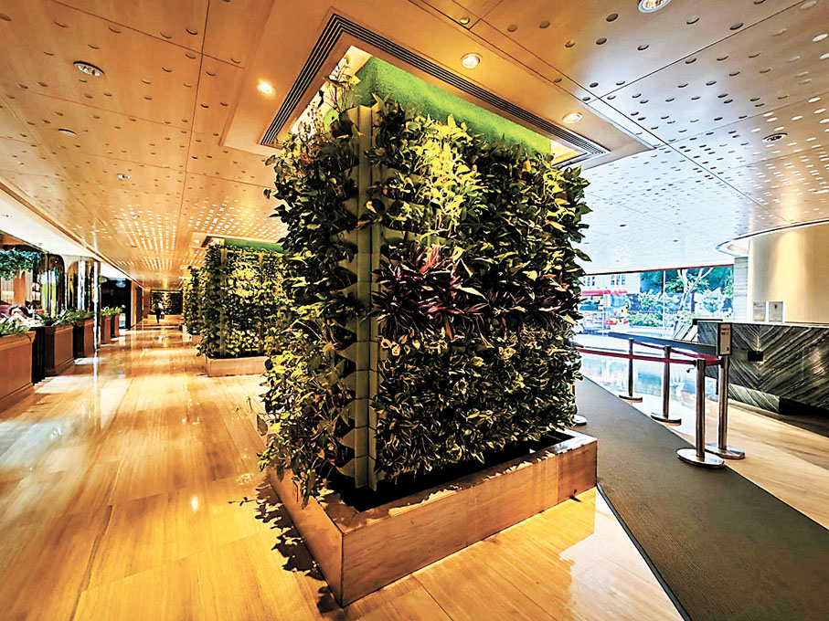 ◆城景國際酒店推崇綠色環保的服務理念。