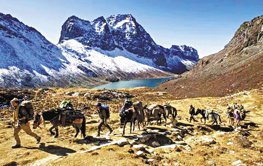 ◆跋涉中的馬幫。 作者供圖