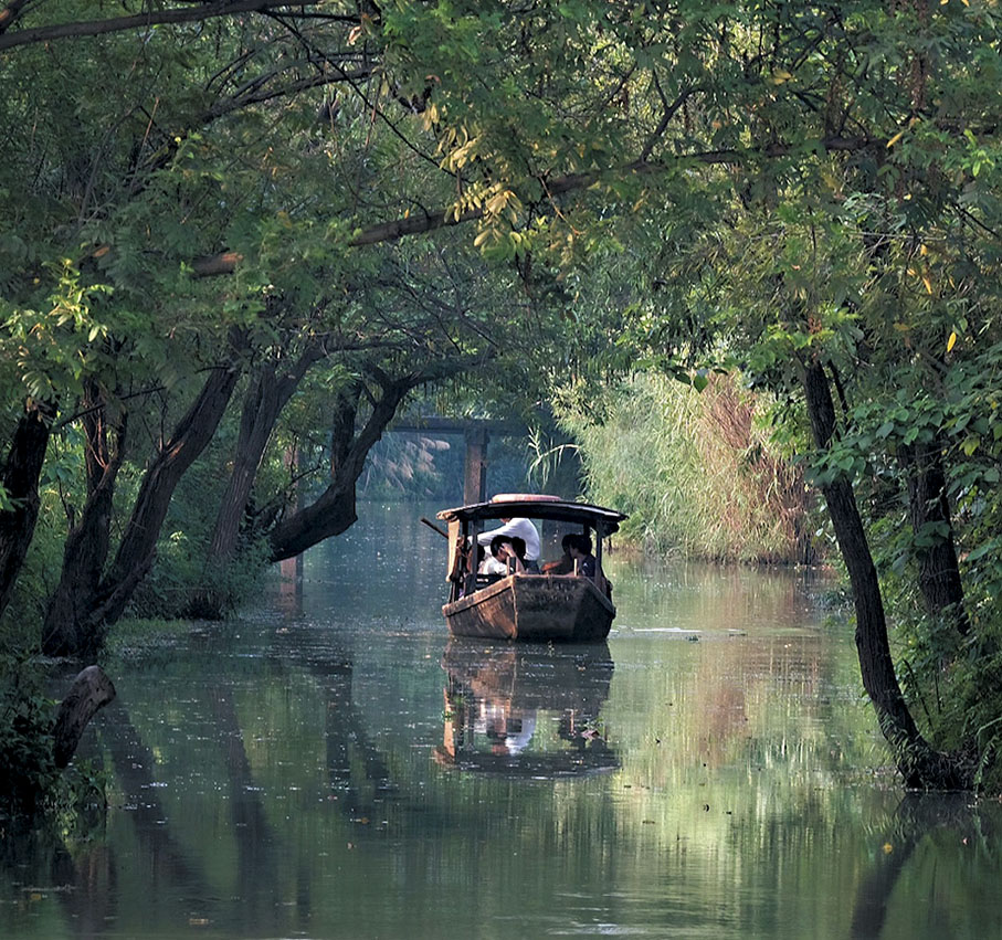 ◆泛舟西溪濕地