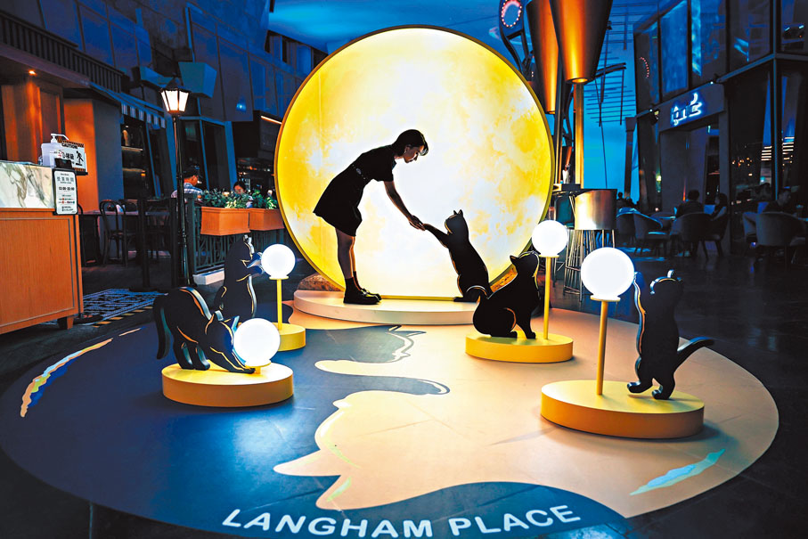 ◆中秋Moonlight Party「七貓伴月」