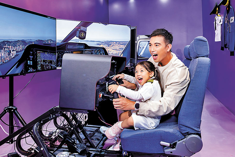 ◆模擬飛行體驗