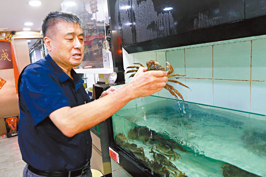 ◆香港大閘蟹協會會長蔡琦表示近期入口大閘蟹的清關流程有所減慢。 香港文匯報記者北山彥 攝