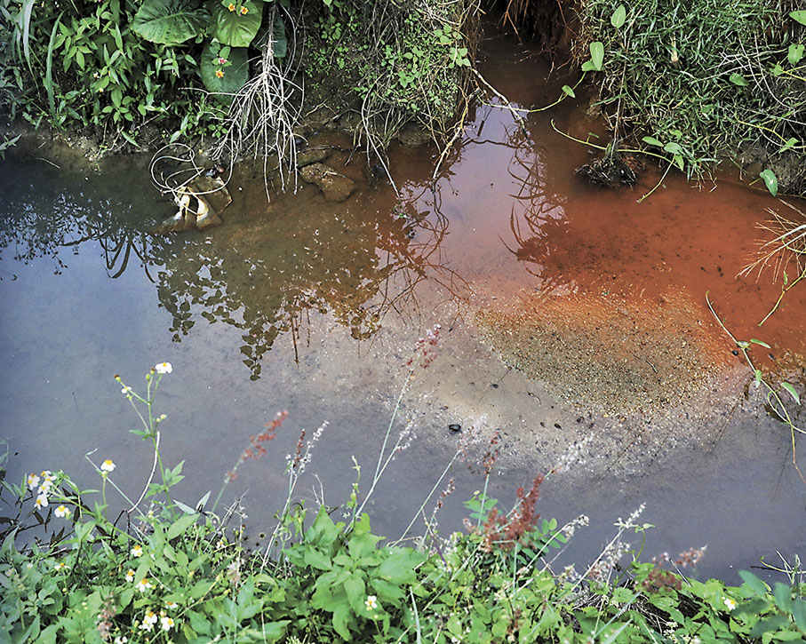 ◆魚塘附近的小澗不時流出顏色怪異的物質。   香港文匯報記者郭木又  攝