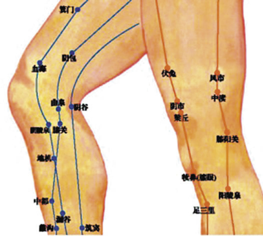 ◆膝關帶內外經絡多