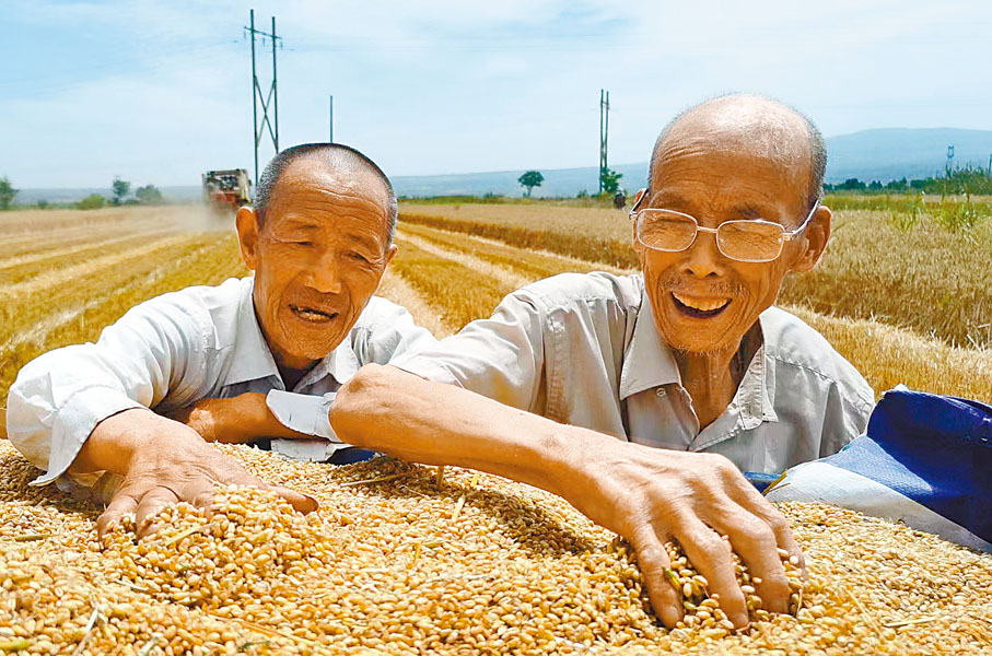 ◆ 小麥豐收後，陝西關中農民笑逐顏開。香港文匯報陝西傳真
