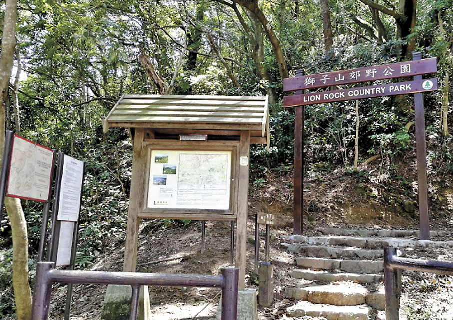 ◆一名16歲少年，前晚冒着風雨徒步登山擬返回大圍的寓所，詎料中途在畢架山麥理浩徑第五段迷路。圖為麥理浩徑第五段之一獅子山郊野公園。 資料圖片