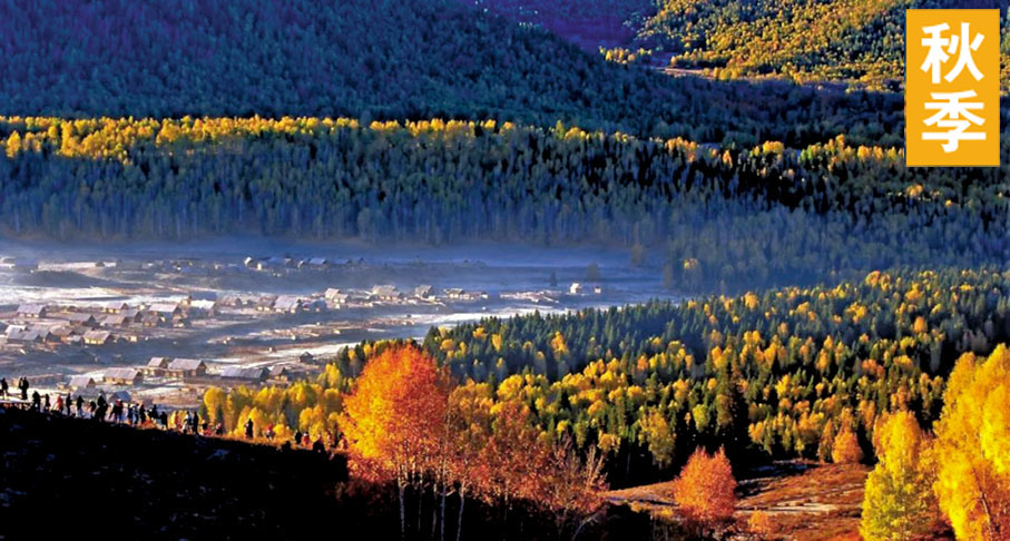 ◆秋季的禾木，是繪本裏描述的童話世界，晨霧、炊煙籠罩着村莊，成片的白樺林閃耀着金光，山坡上的樹有的常青、有的泛紅，如同絢麗的油畫一般，非常美麗。