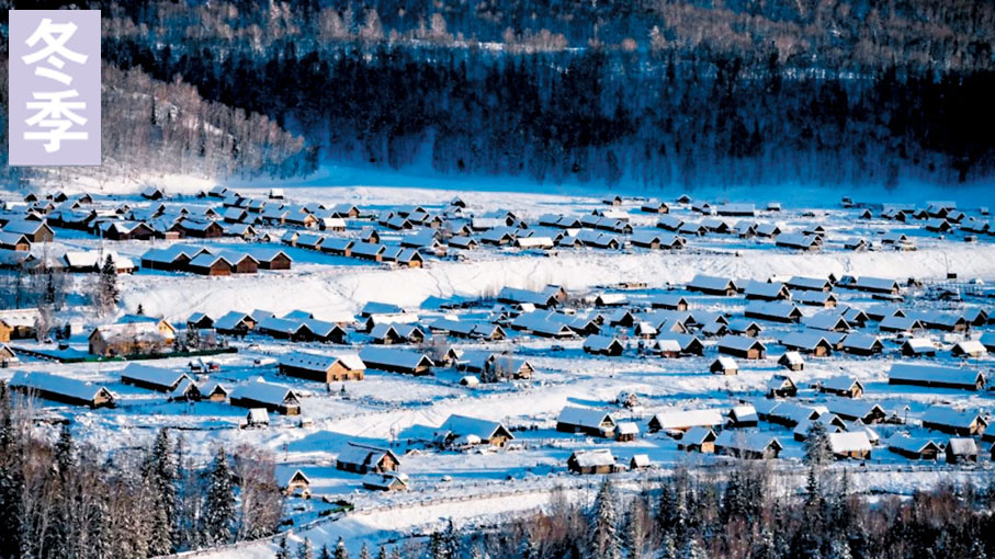 ◆冬季的禾木被白雪覆蓋，一改往日的濃艷盛裝，山野銀裝素裹，河水凝起薄冰，晶瑩剔透，變得靜謐聖潔。走在深冬的村莊，如同走入了冰雪王國。