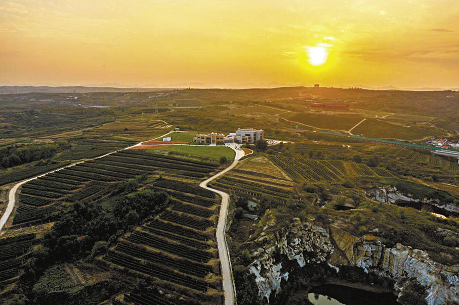 ◆位於山東蓬萊市丘山山谷的仙島酒莊梯田環繞，風景宜人。 