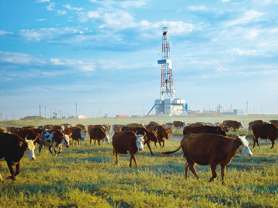 ◆ 哈薩克斯坦阿克糾賓項目實現了那若爾油田與草原和諧共生。